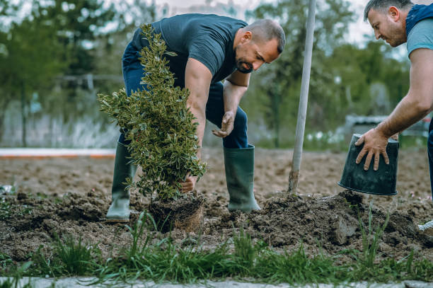 Best Lawn Watering Services  in Mcconnell Af, KS